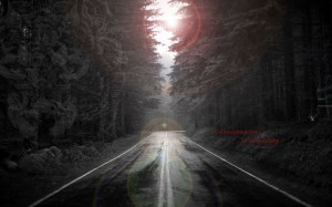 The Straightest Trees Banner